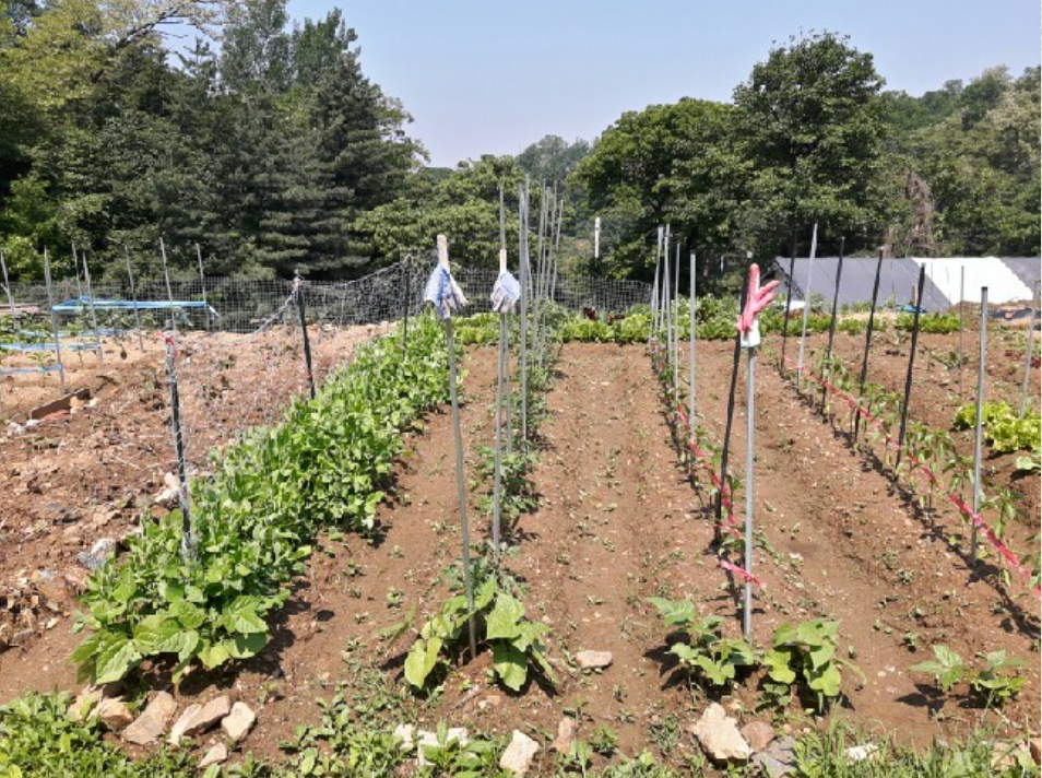 기후위기 시대, ‘지수형 보험’으로 선제적 대응 모색
